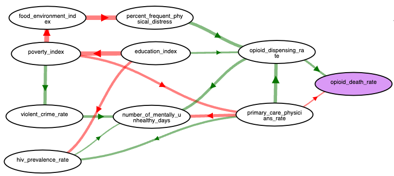 Large Language Model Assisted Causal Model Auditing and Development